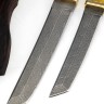 Комплект из 2 ножей "Танто" дамаск рукоять шишка в акриле, на подставке 