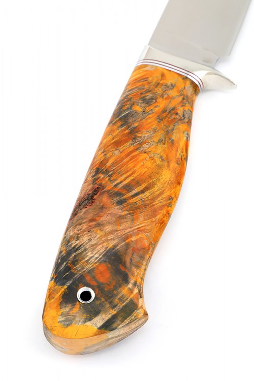 Нож Беркут сталь К340 рукоять мельхиор, кап клена оранжевый 