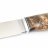Нож Лесник сталь К340 рукоять кап клена коричневый, формованные ножны 