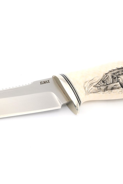Нож Белуга сталь Elmax рукоять элфорин (скримшоу осётр) ФОРМОВАННЫЕ НОЖНЫ 