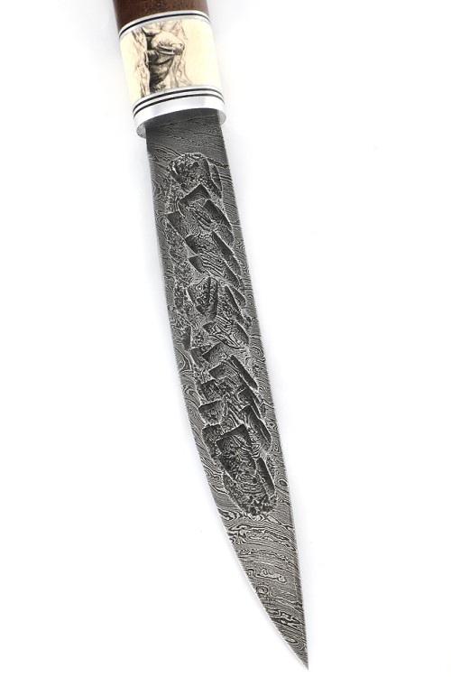 Нож Северный №4 сталь дамаск кованый дол, рукоять вставка клык моржа (скримшоу), карельская береза коричневая 